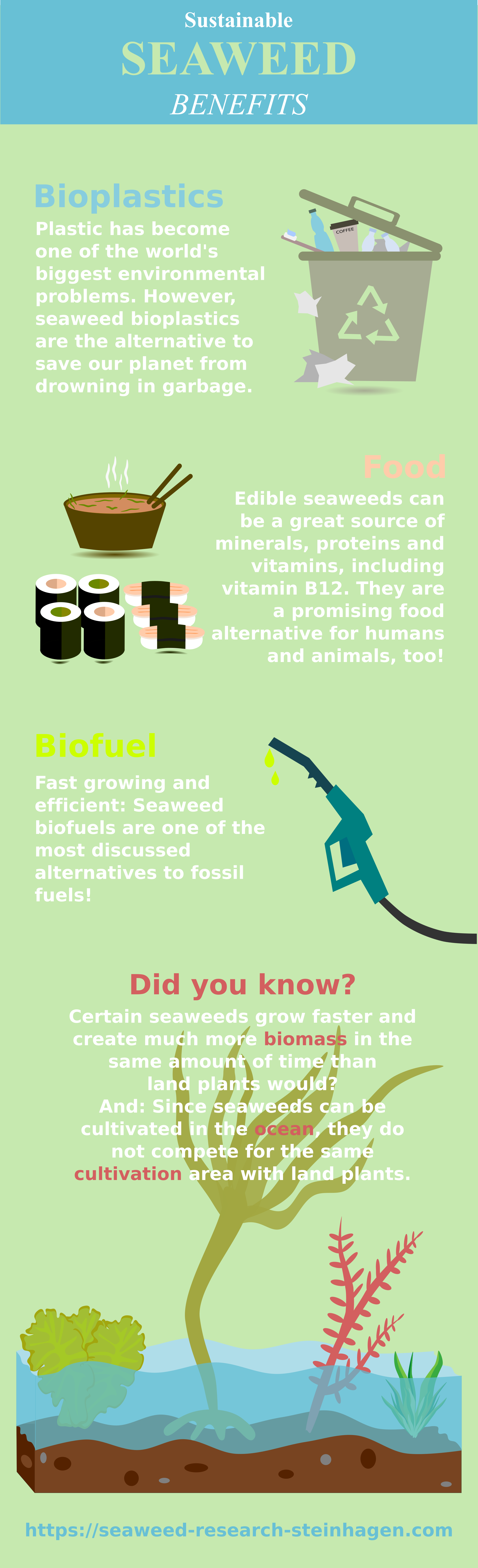 Infographic: Sustainable seaweed benefits